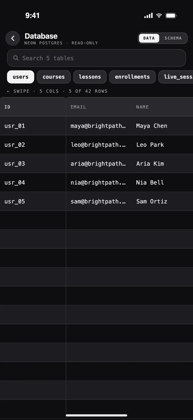 Database rows view for the users table